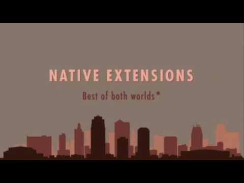 PDXRust August 2016: Godfrey Chan - Bridging Ruby And Rust
